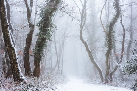 A Winter's Tale.