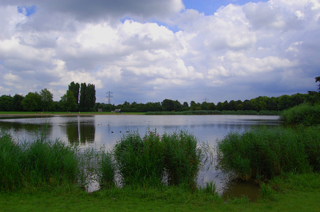 Bernisse - Heenvliet