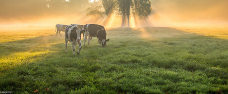 een magische ochtend