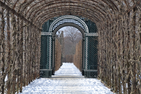 Gangpad in tuin van kasteel Schönbrunn in Oostenrijk