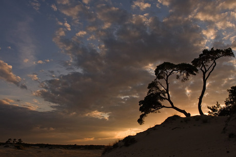 Het Kootwijkerzand