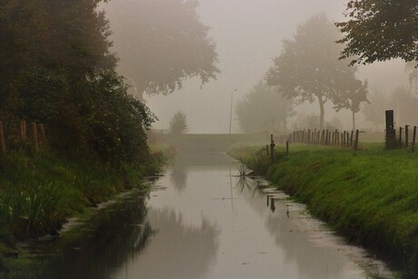 mistig landschap