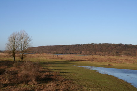 de Blauwe Kamer