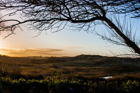 Dutch Mountains