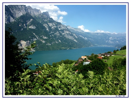 Walensee fleurig