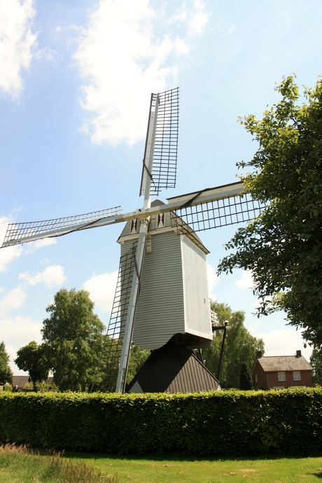 IMG_7106.JPG Standerd molen te Berggeijk