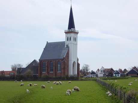 Texel (1)