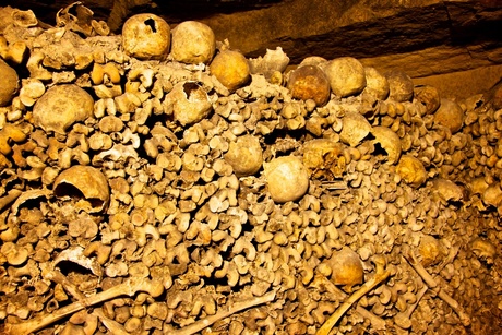Een hoop botten en schedels