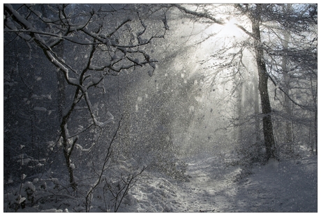 zon in de sneeuw