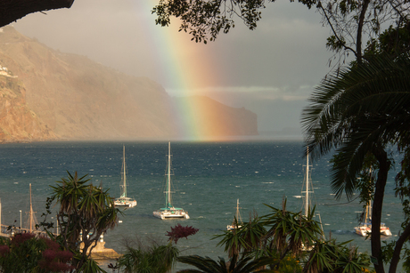 Regenboog in de haven