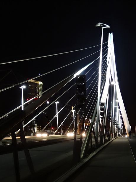 Erasmusbrug Rotterdam