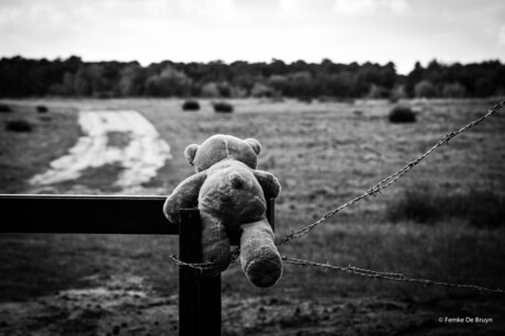 Teddybeertje die over het hek wil klimmen.