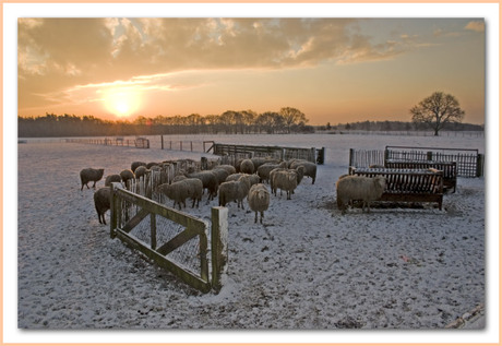 Heerlijke ochtend