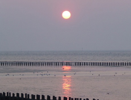 Avondzon over Holwerd