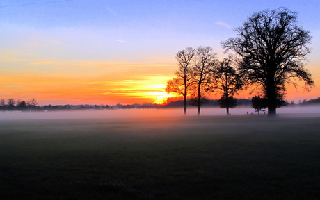 Winter zon in Geesteren