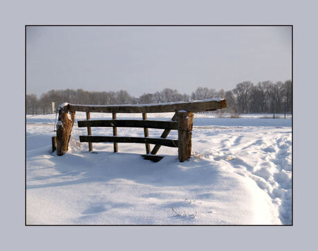 Sneeuwlandschap