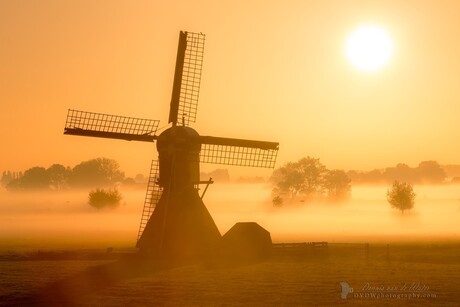 Foggy windmill sunrise