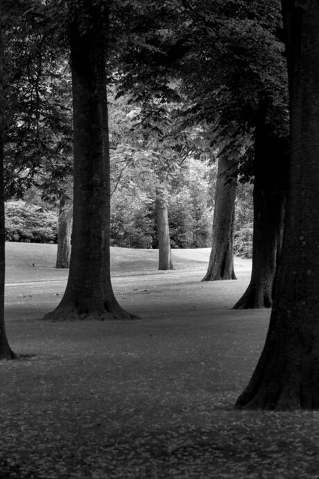 Park in Breda