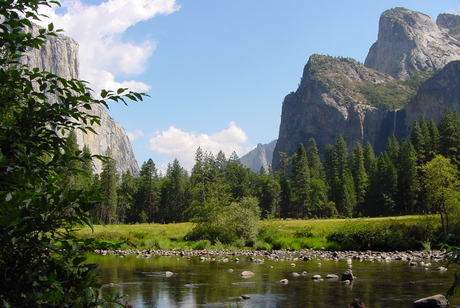 Yosemity National Park