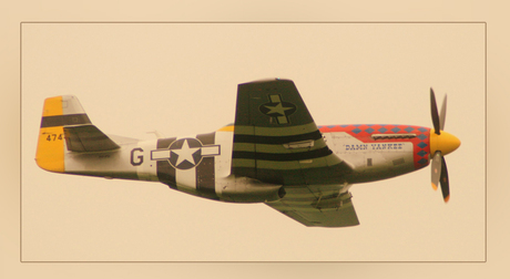 P-51D Mustang "Damn Yankee"