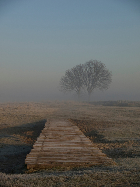 Koud en mistig 2 Wassenaar