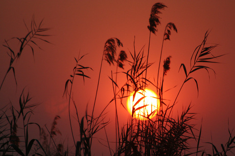 zonsondergang