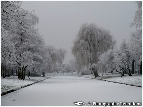 winter wonder land