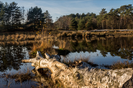 Rode-Beek, Brunssumerheide