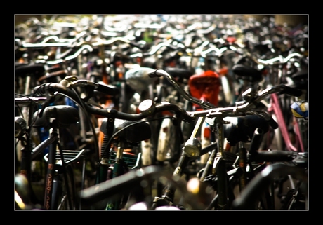 Bicycle chaos in Utrecht