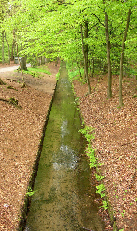 Naast het wandelpad