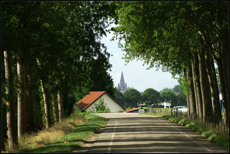 Zomers doorkijkje