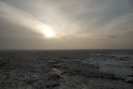 wadden licht