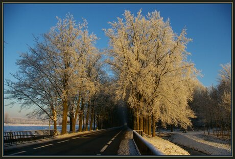 besneeuw landschap