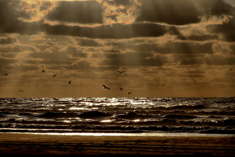 Formerum aan Zee