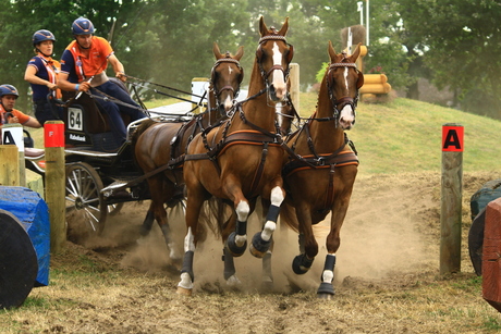 IMG_2474.JPG Outdoot Brabant Breda