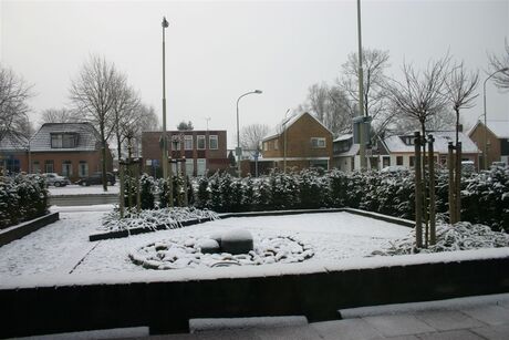 20050224 De eerste sneeuw0002