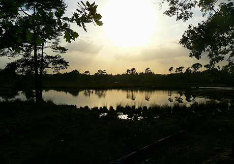 Avondzon in de Haterse Vennen