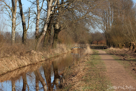 Weerspiegeling in het water