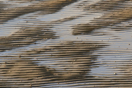 Het strand