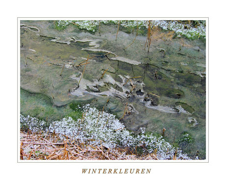 Winterkleuren