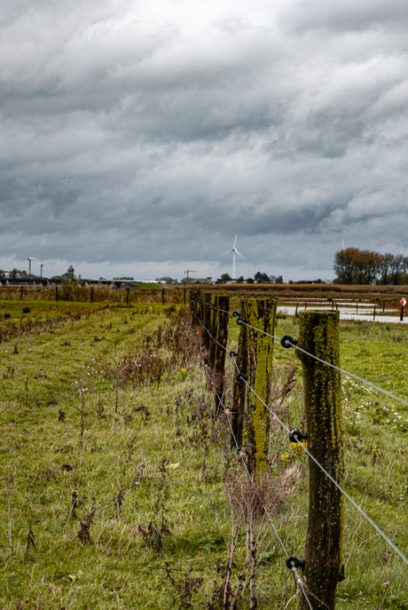 Wooden Fence