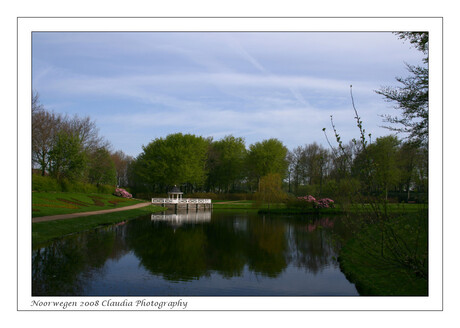 Rhododendron Park