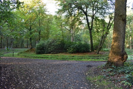 Herfst 2019, De Warande