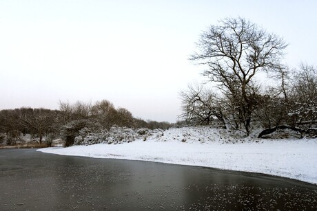 Amsterdamse wateleingduinen