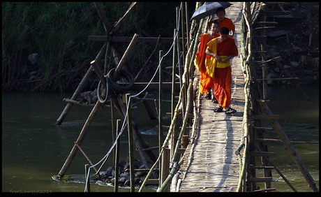 LAOS Bamboe loopbrug