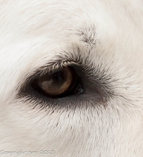 ik zie ik zie ....wat zie jij?