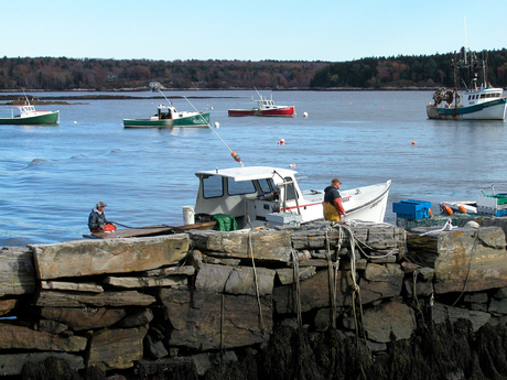 Lobstervissers in de haven