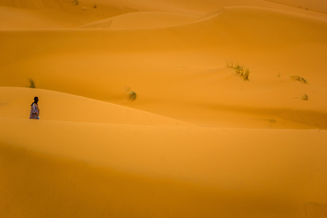 Alleen in de Sahara