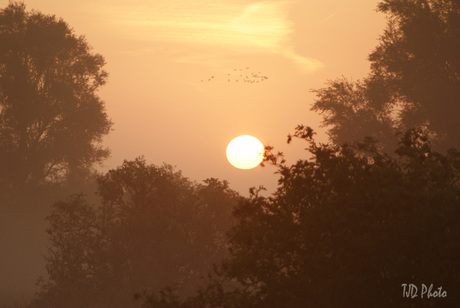 Zonsopgang op een mistige morgen