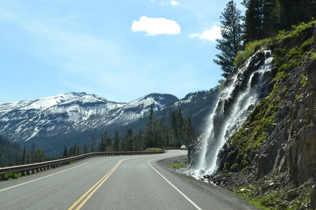 Road in Yellowstone